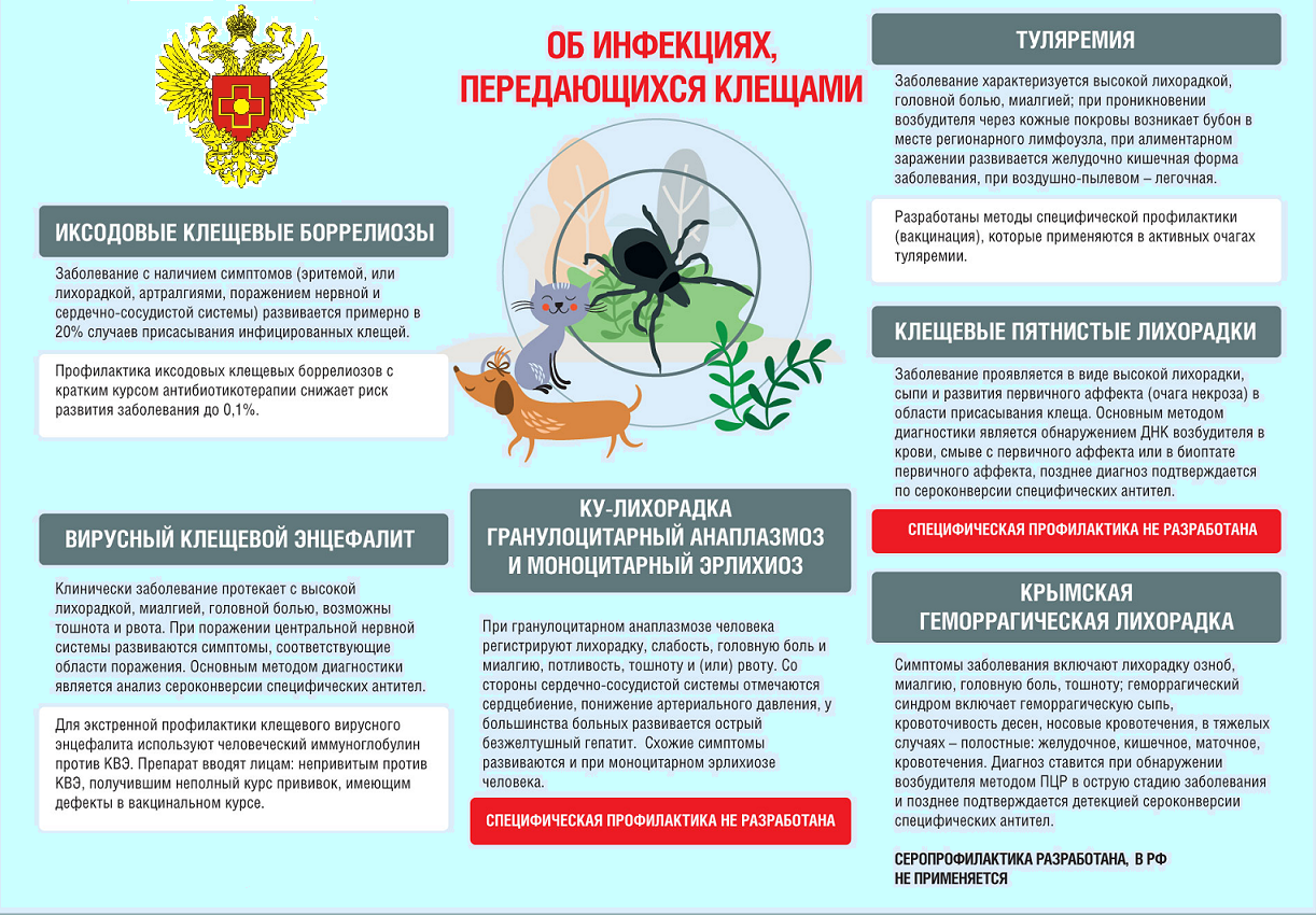 Памятка по инфекциям, передающимся клещами